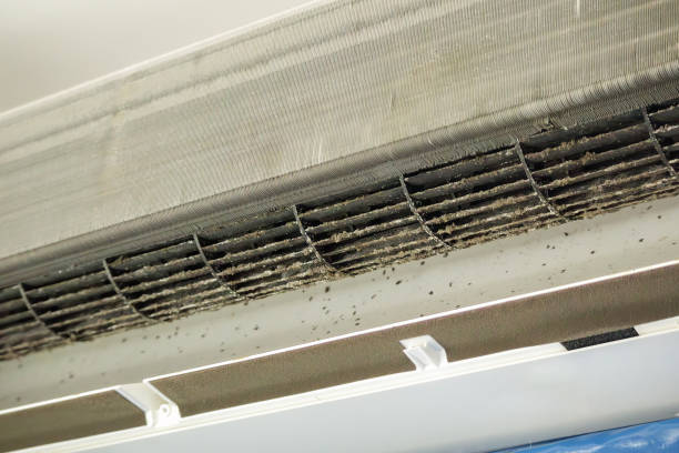 Best Air Duct Cleaning Company Near Me  in Santa Fe, TX